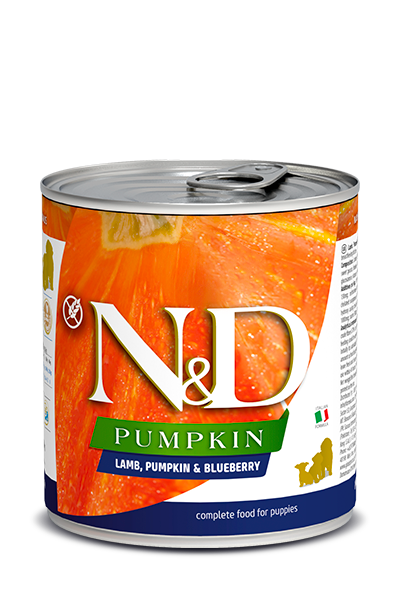 N&D - Pumpkin GF Can PUPPY | Lamb & Blueberry