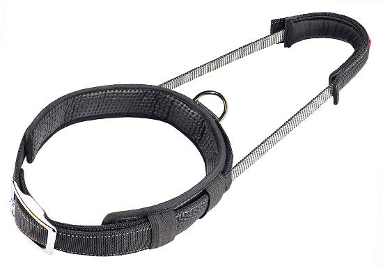 PATENTO PET- Collar Sport