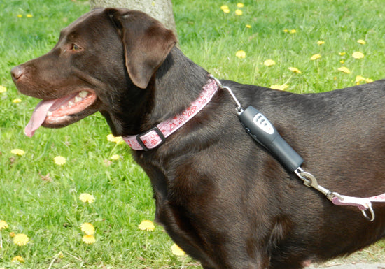 Patento Pet - Dog E-Walk Basic