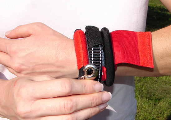 PATENTO PET - Hands Free