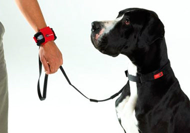 PATENTO PET - Hands Free