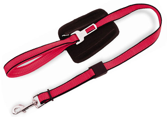 PATENTO PET - Walk & Drive