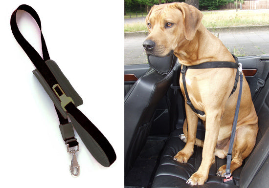 PATENTO PET - Walk & Drive