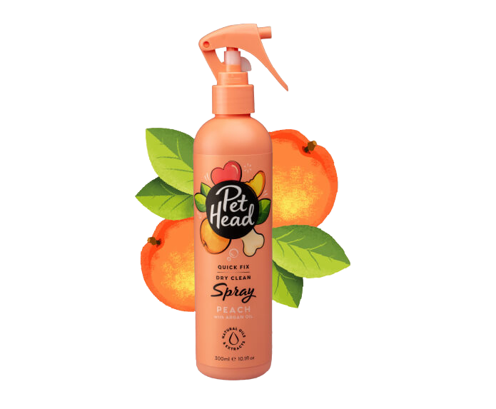 PET HEAD Quick Fix 2 in 1 Spray 300ml Kućna dostava Kuce i Mace