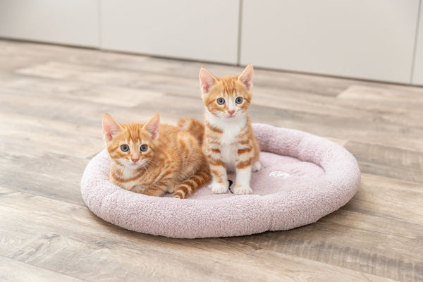 TRIXIE - Bed Junior Cat