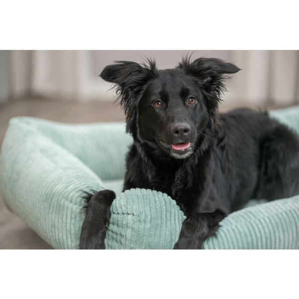 TRIXIE - Vital Bed Jonna Mint
