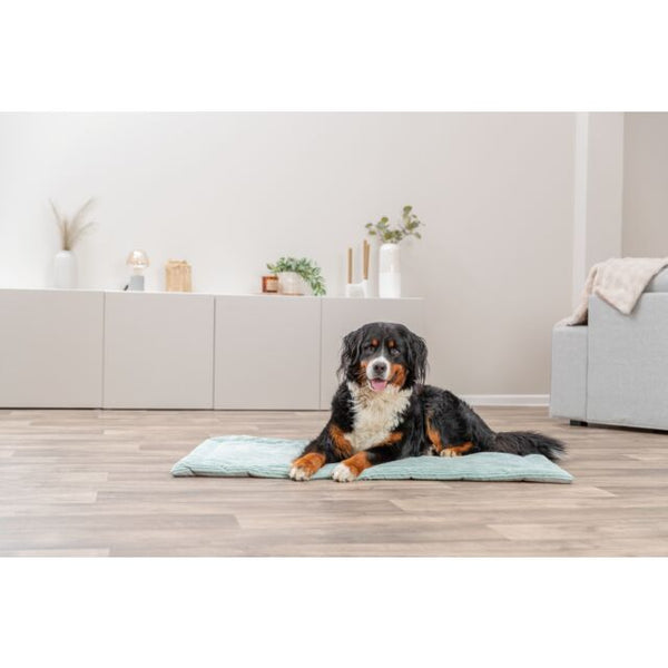 TRIXIE - Lying Mat Jonna Mint