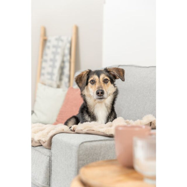 TRIXIE - Blanket Elli Sand
