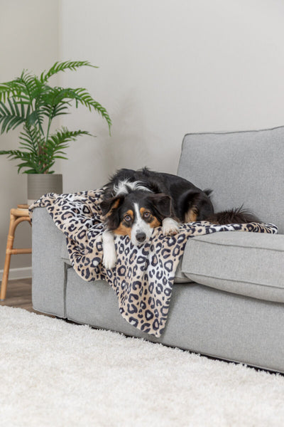 TRIXIE - Blanket Leo Cream
