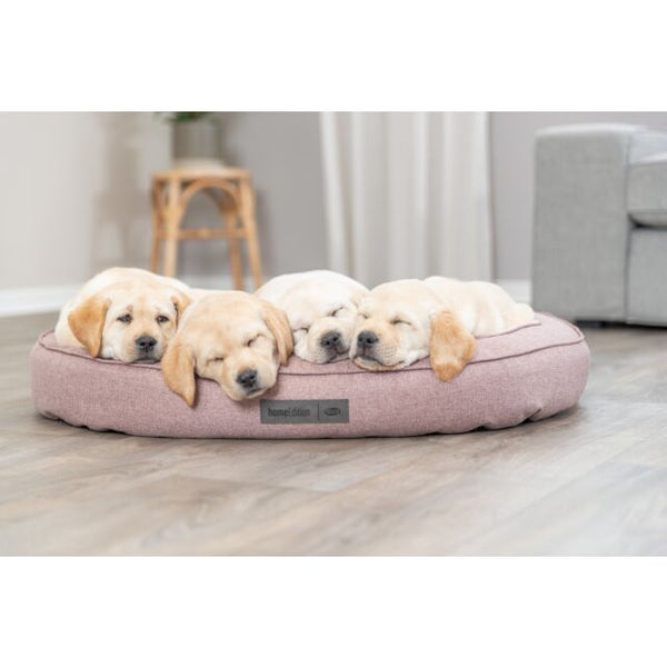 TRIXIE - Bed Felicia