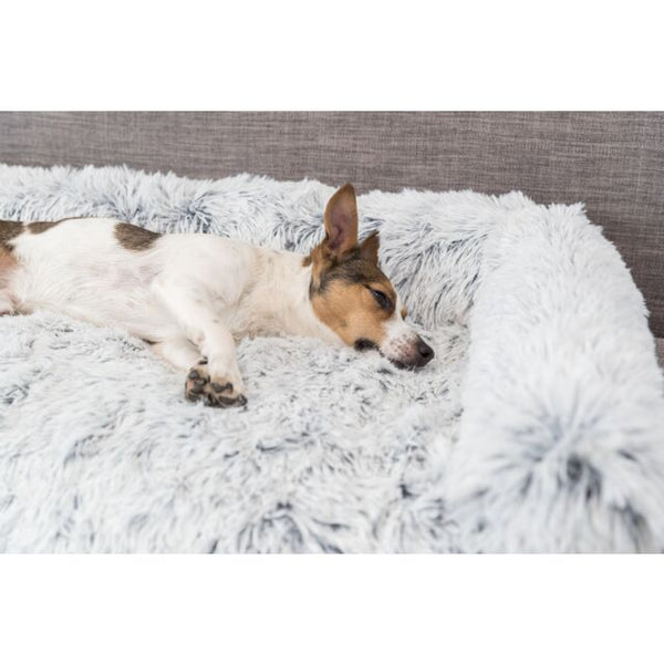 TRIXIE - Bed Harvey
