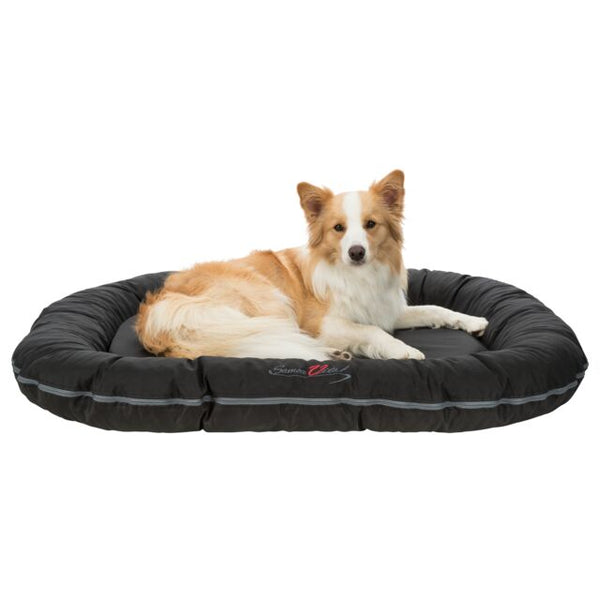 Trixie Cushion Samoa Vital