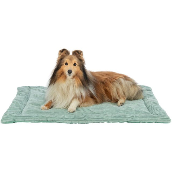 TRIXIE - Lying Mat Jonna Mint