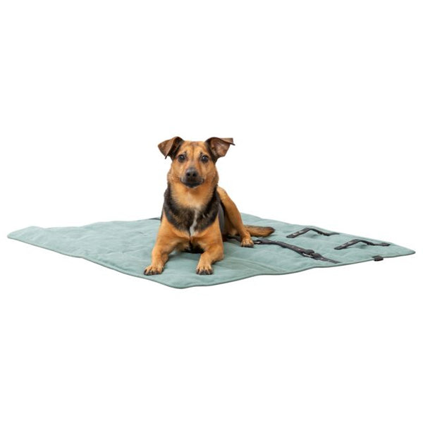 TRIXIE - Travel Blanket CityStyle