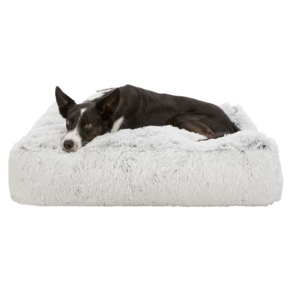 TRIXIE - Cushion Harvey