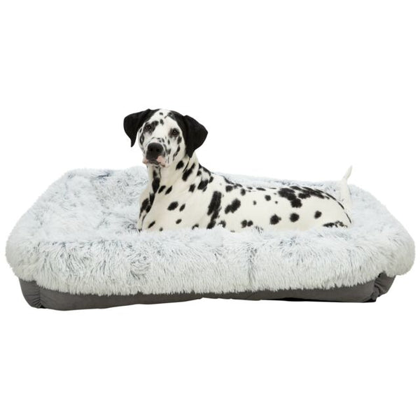 TRIXIE - Bed Harvey