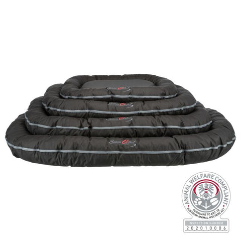 Trixie Cushion Samoa Vital
