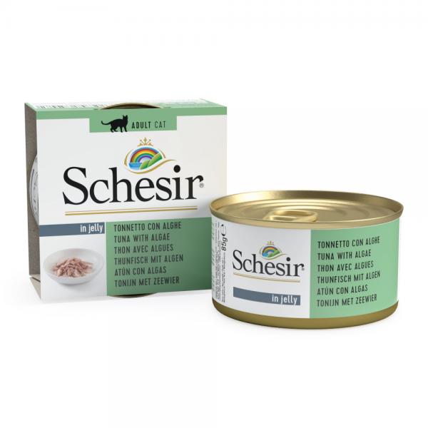 SCHESIR CAT - Classic Tuna & Algae 5x85gr