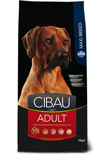 CIBAU - Adult Maxi