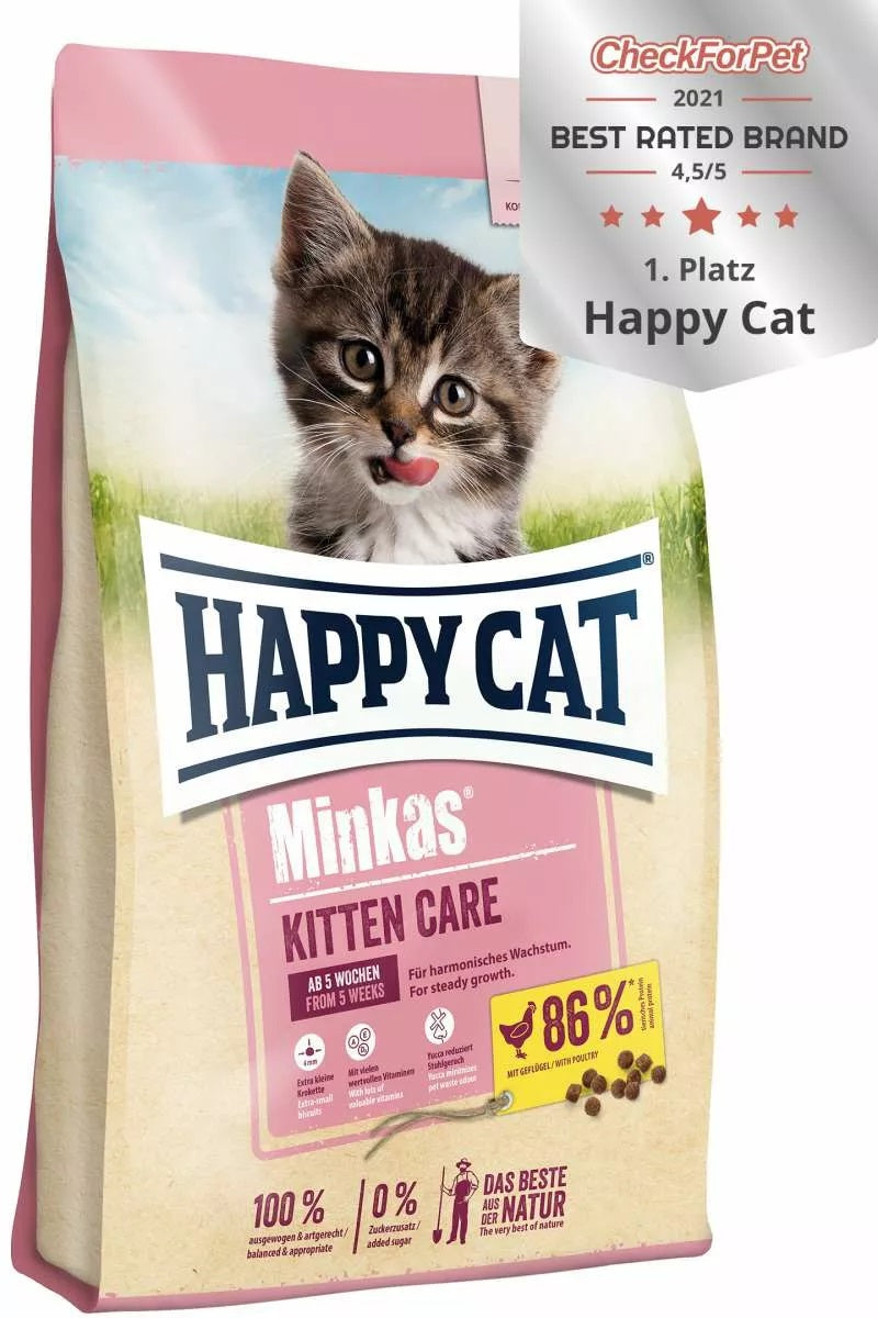 HAPPY CAT - Minkas Kitten