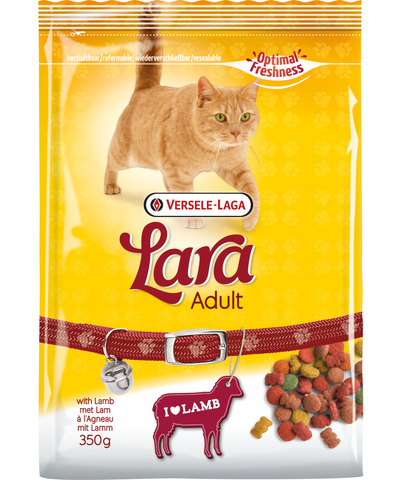 LARA - Adult Lamb