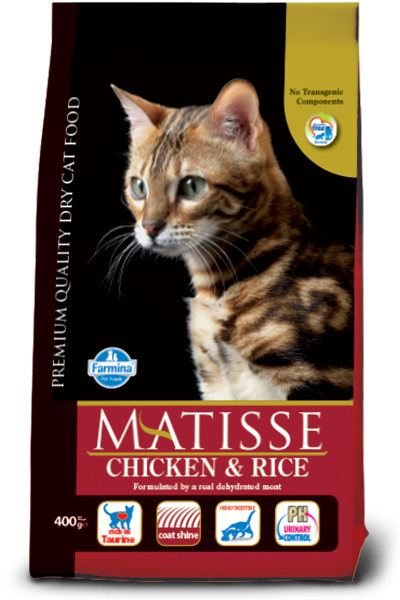 MATISSE - Adult Chicken & Rice