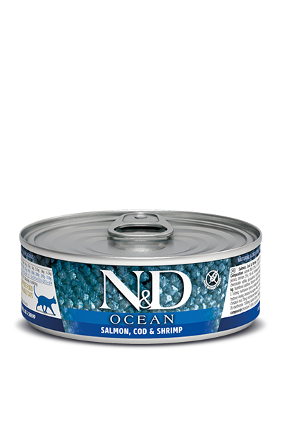 N&D CAT - Ocean GF Can | Salmon & Codfish & Shrimps 