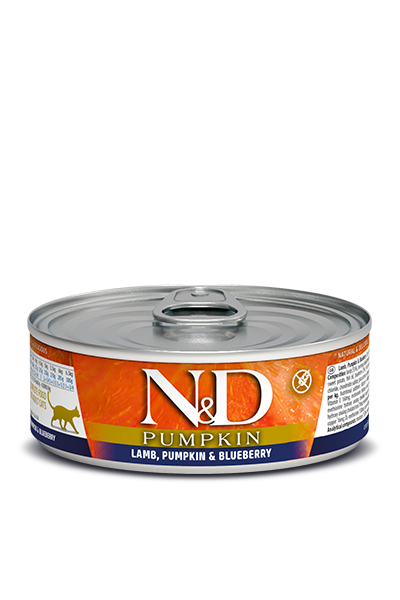 N&D CAT - Pumpkin GF Can | Lamb & Blueberry