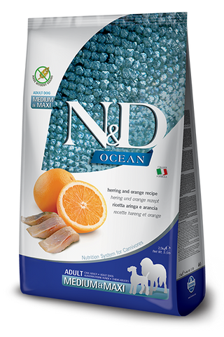 N&D - OCEAN GF | Medium & Maxi - Herring & Orange