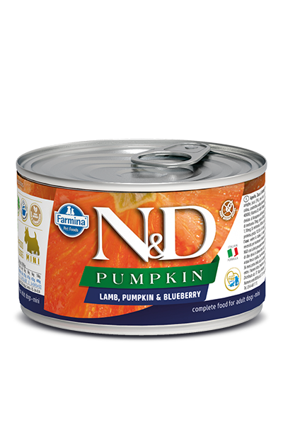 N&D - Pumpkin GF Can | Lamb & Blueberry