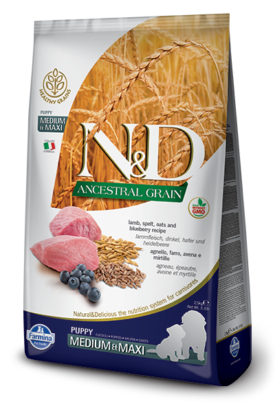 N&D - Low Grain Puppy Medium & Maxi Lamb & Blueberry