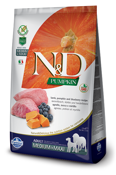 N&D - Pumpkin GF Adult Medium & Maxi Lamb & Blueberry